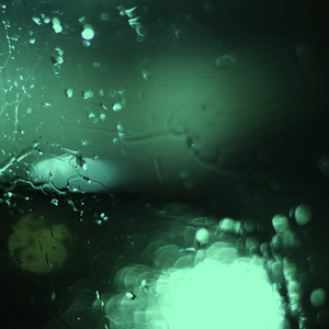 国产性色强伦免费视频
