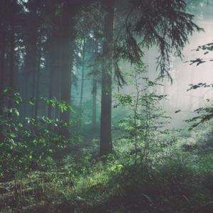 国产性色强伦免费视频
